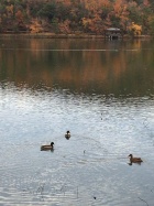 京都人妻デリヘル倶楽部
