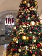 京都人妻デリヘル倶楽部