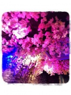 京都人妻デリヘル倶楽部