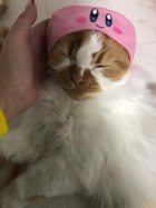 京都人妻デリヘル倶楽部