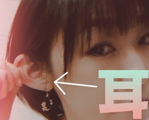 添付画像