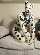 京都痴女性感フェチ倶楽部