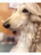 京都痴女性感フェチ倶楽部