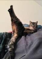 京都痴女性感フェチ倶楽部