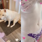 京都人妻デリヘル倶楽部