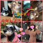 京都人妻デリヘル倶楽部