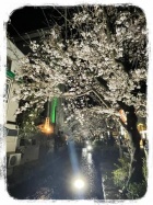 京都人妻デリヘル倶楽部